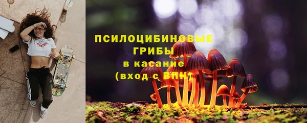 гидропоника Бородино