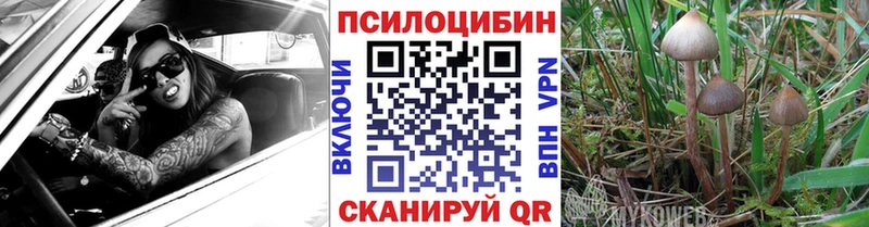 Псилоцибиновые грибы GOLDEN TEACHER  купить наркотик  Дно 